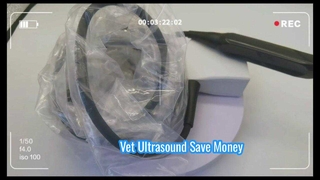Mindray 75L50EAV echografiesonde voor dierenartsen